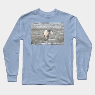 Wild horses, Arizona, nature, wildlife, gifts Long Sleeve T-Shirt